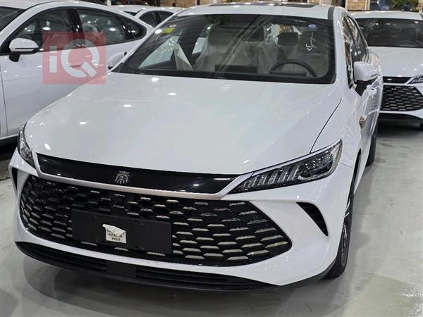 بي واي دي Qin Plus 2025 للبيع في العراق -  بغداد